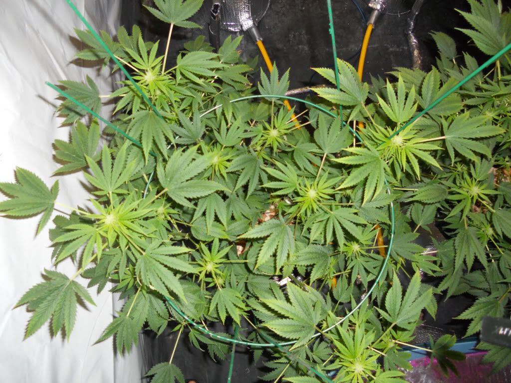 ESB2_Day24f.jpg