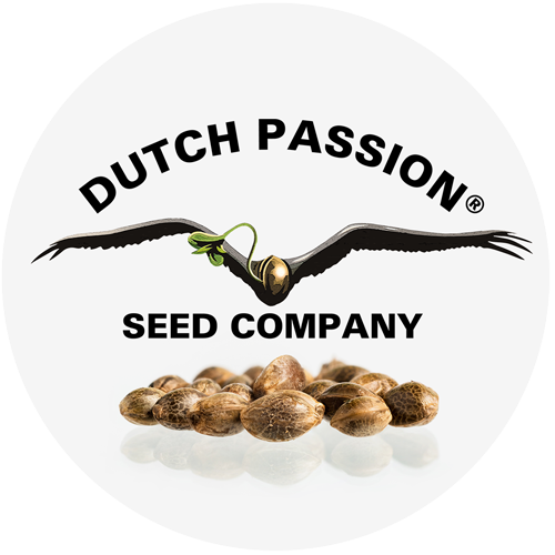 dutch-passion.us