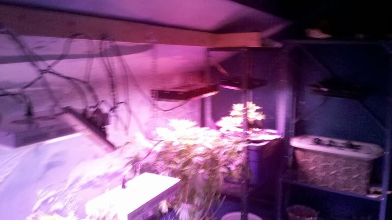 2011-03-08_12-58-51_652.jpg