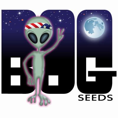 www.dankseed.store