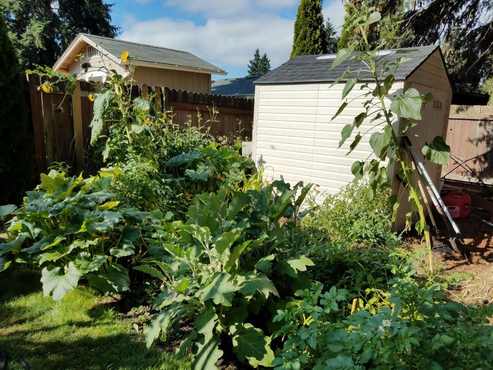 828gardenc.jpg