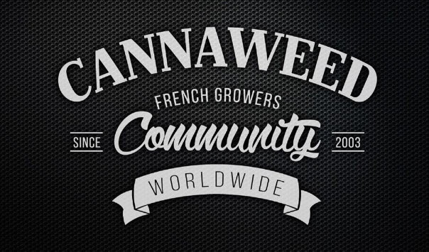 www.cannaweed.com