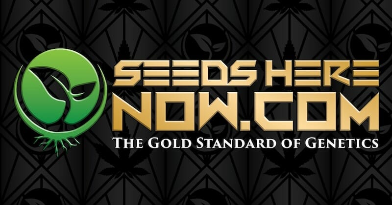 seedsherenow.com