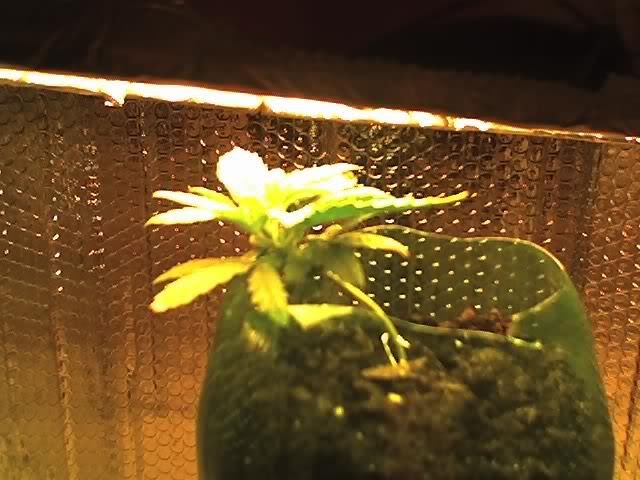 04-20-07_2214.jpg