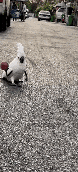1650812090_20.gif