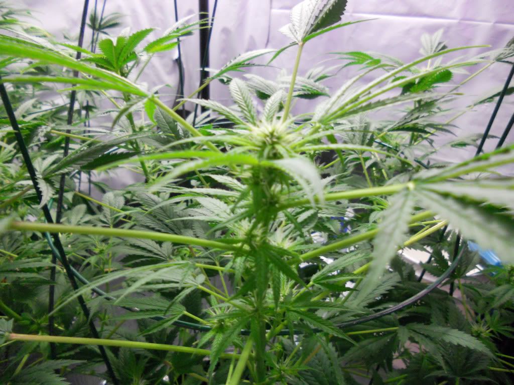 ES_Day24f_2.jpg