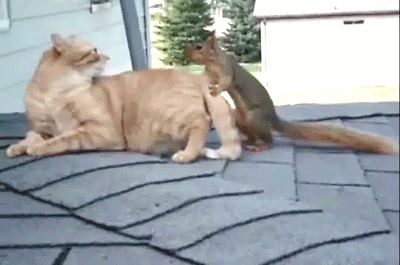 gifs_08.gif