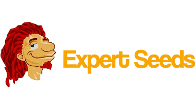 expertseedbank.com