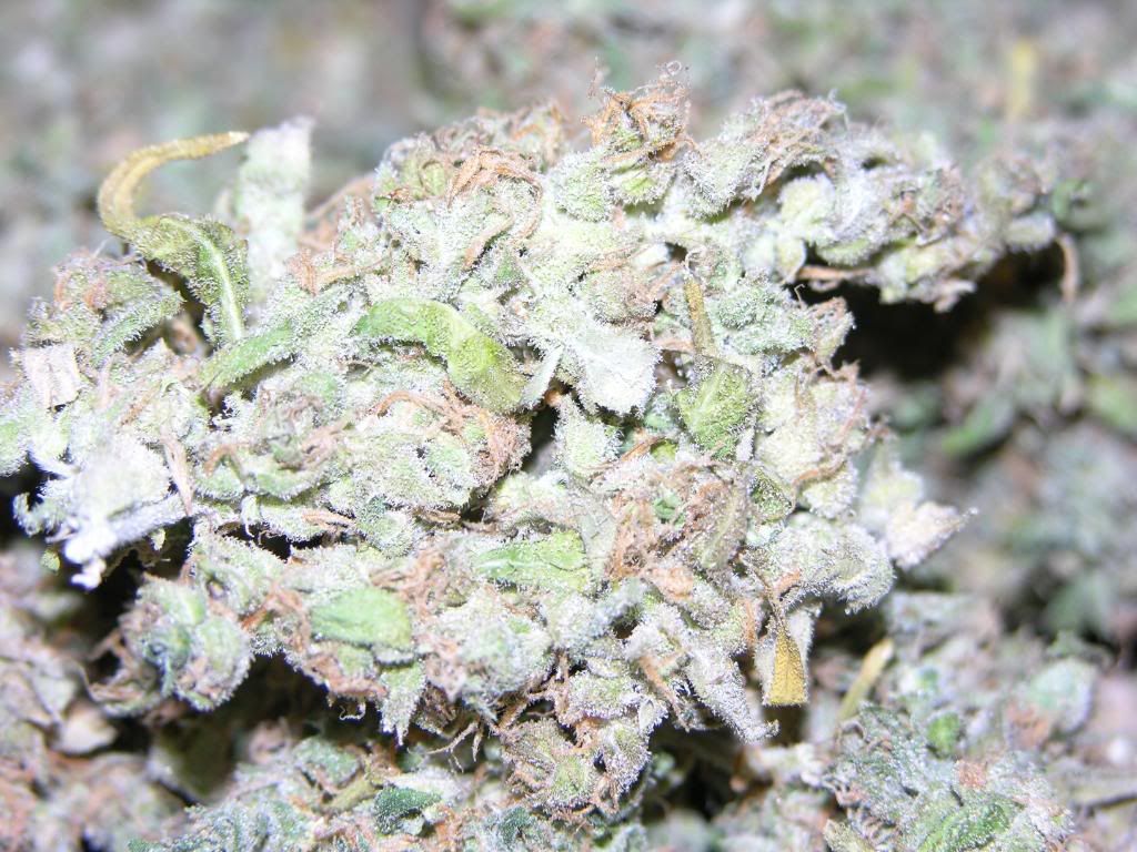 dry005.jpg