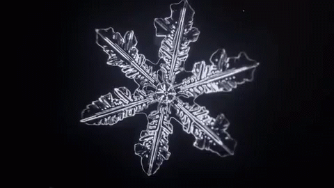 d9a2e334546198f92d1414ab332c3fd0.gif