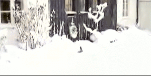 gifs_12.gif
