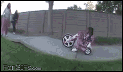 gif_02.gif