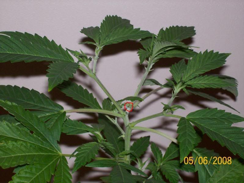 2e5684e3.jpg