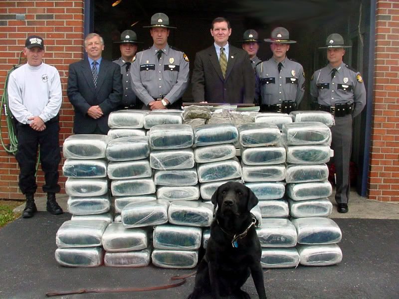 marijuana_bust.jpg