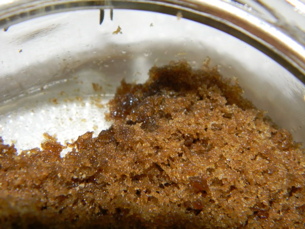 DSCN0973.jpg
