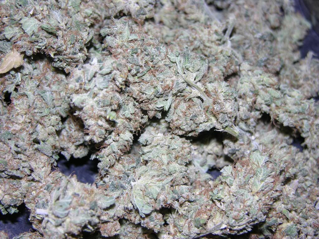 dry015.jpg