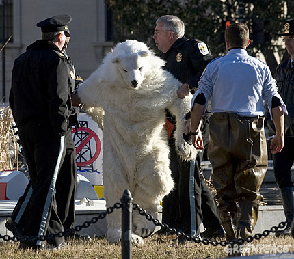 PolarBearArrested.jpg