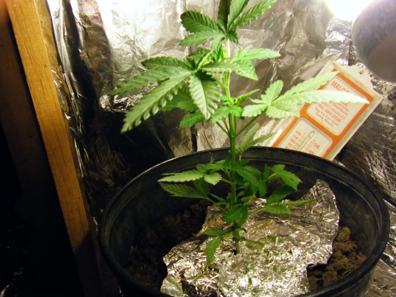 mj090005-4.jpg