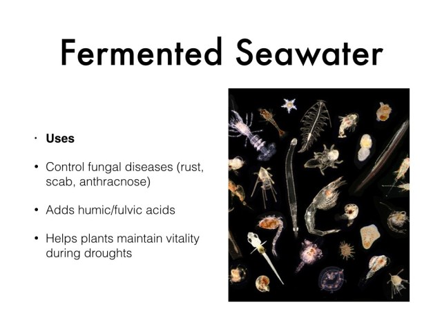 seawater and minerals.004