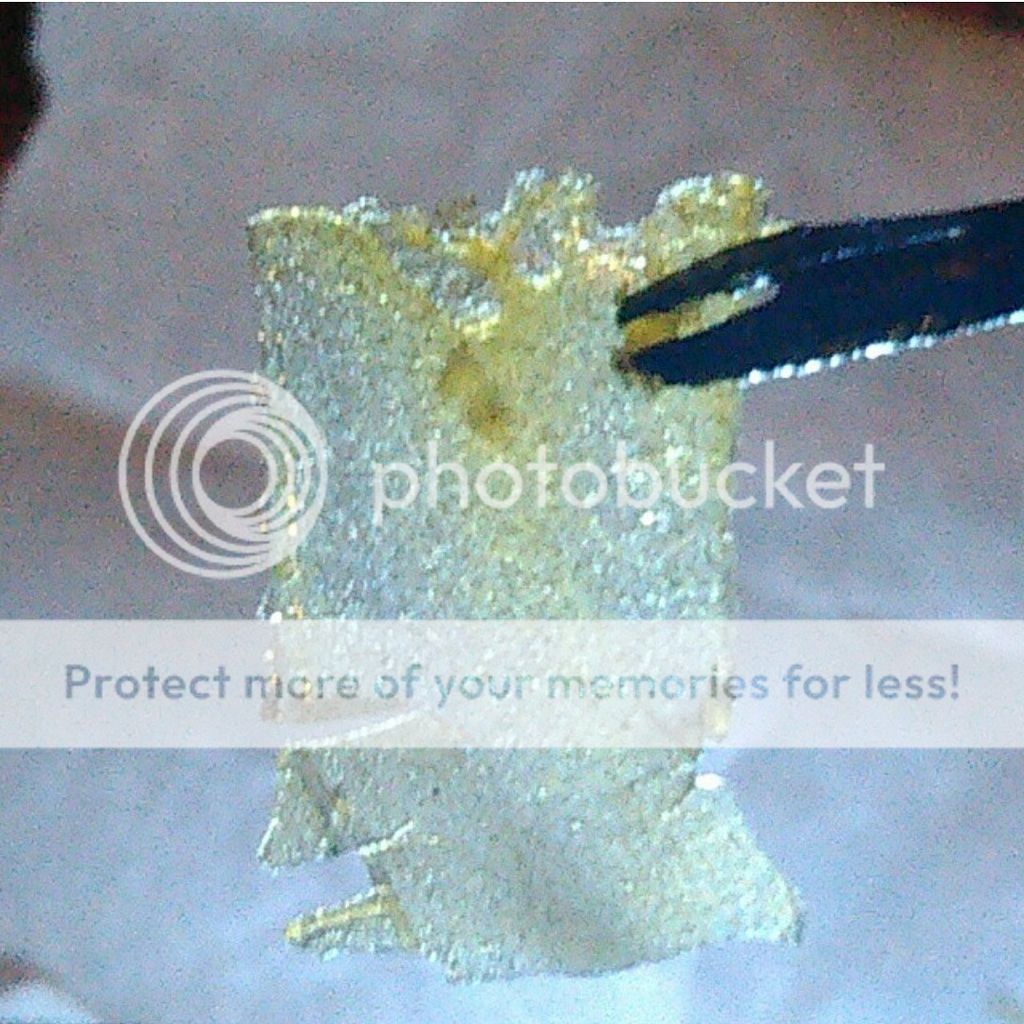 IMG_20150309_152535_zpssjkk9hqx.jpg