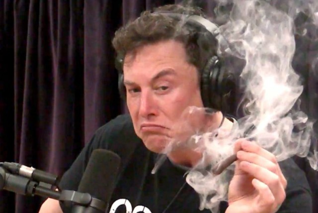 elon-musk-joe-rogan-blunt-1536341297-640x428.jpg