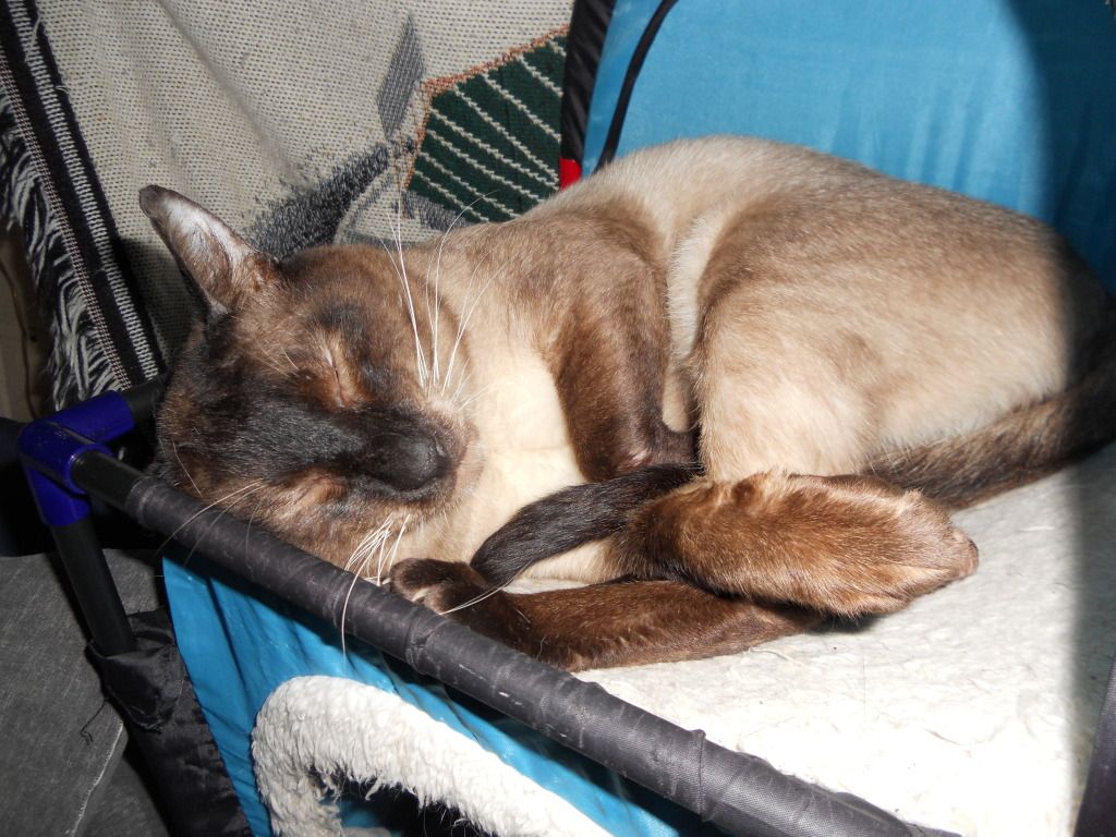 DSCN3365.jpg