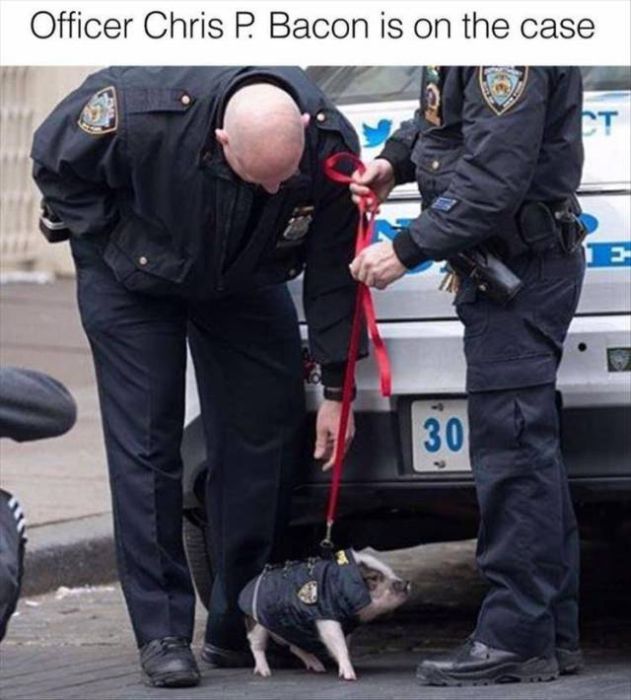acid_picdump_37.jpg