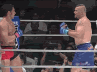 11423113493.gif