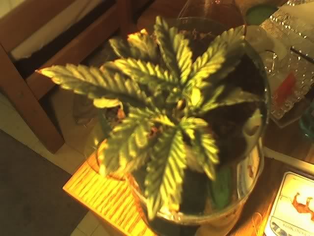 04-21-07_2240.jpg