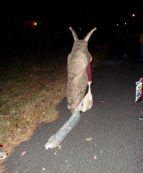 acid_picdump_41.jpg