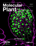 www.sciencedirect.com