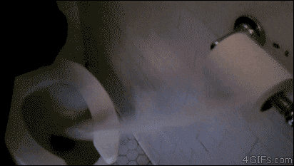 giphy.gif