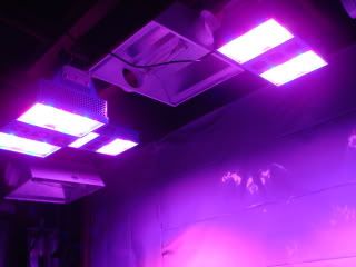 DSC05091.jpg