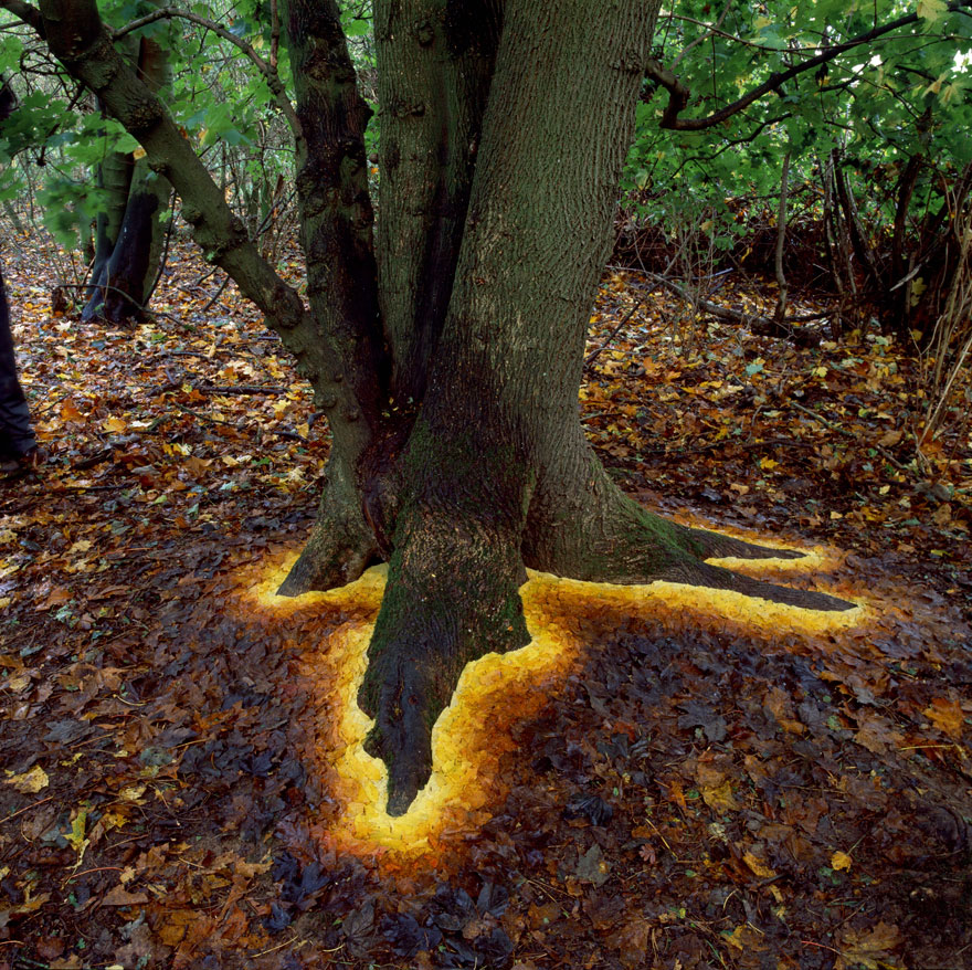 land-art-andy-goldsworthy-110.jpg