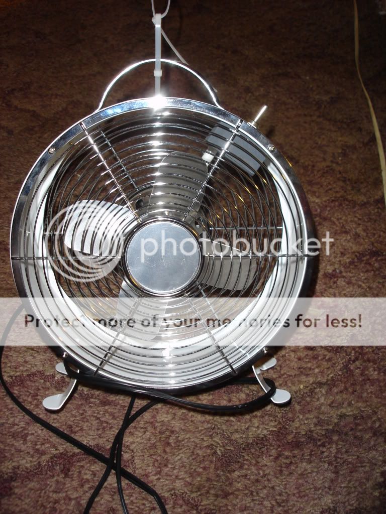 DSC04715.jpg