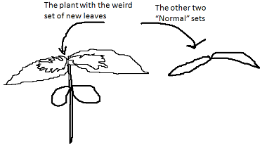 Pasdasd.png