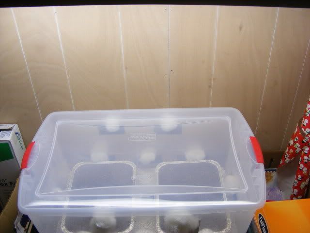 projects006.jpg