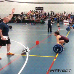 gifs_07.gif