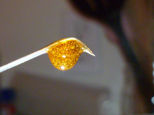 427370970-P1000520.jpg