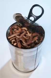 iStock_can-of-worms-749936_zps7598bc5e.jpg