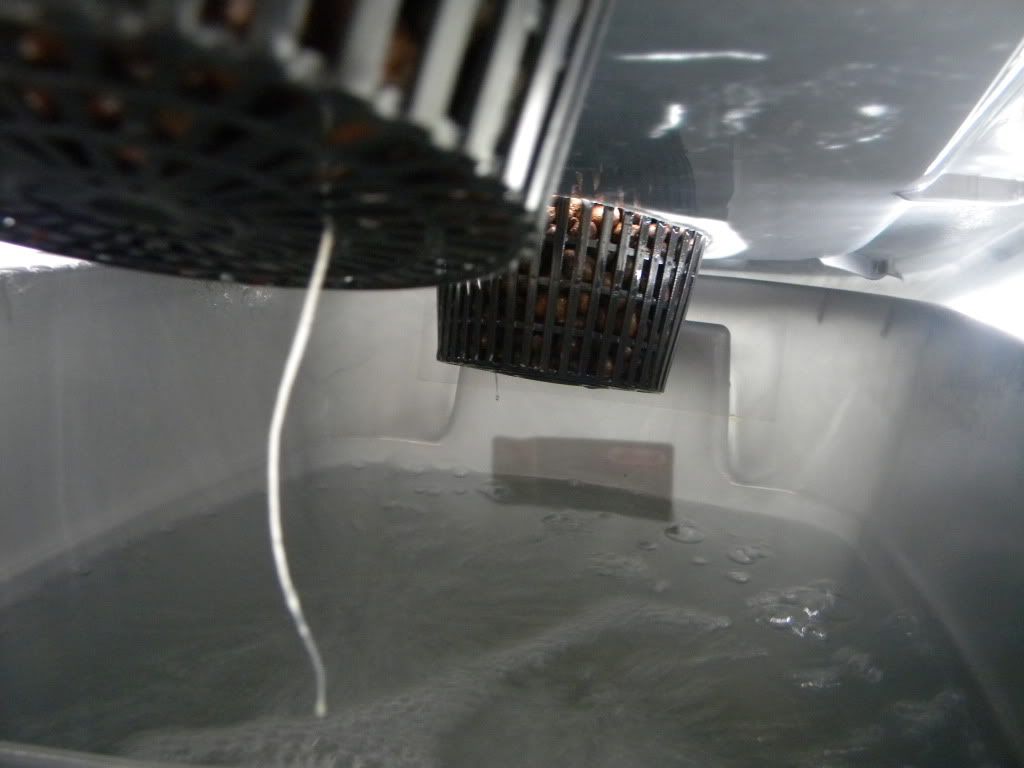 DSCN0872.jpg