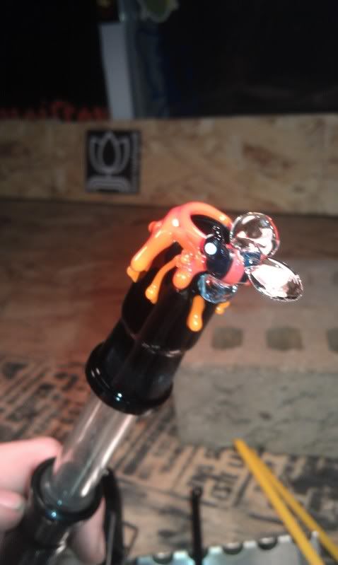 IMAG0329.jpg