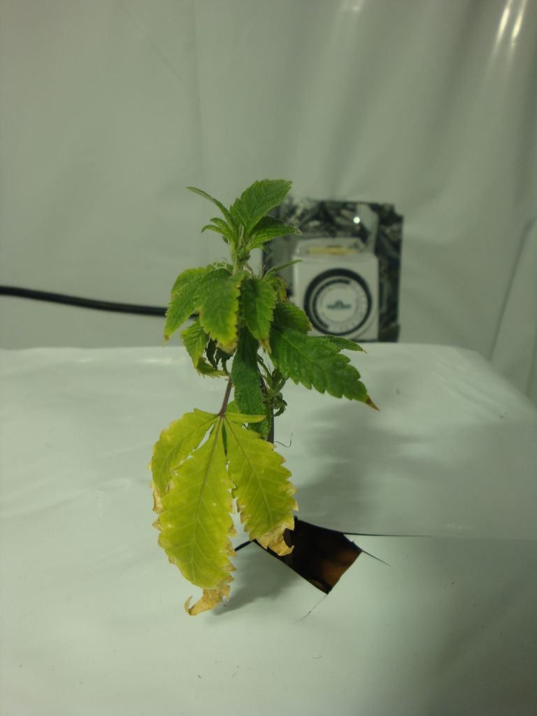 DSC04061.jpg