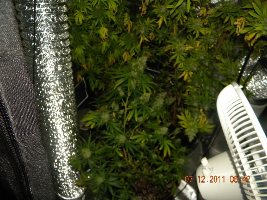 DSCN2435.jpg