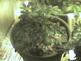 09-25-07_1238.jpg