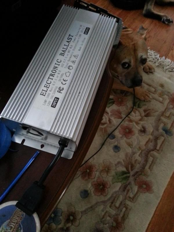 20140725_082850.jpg