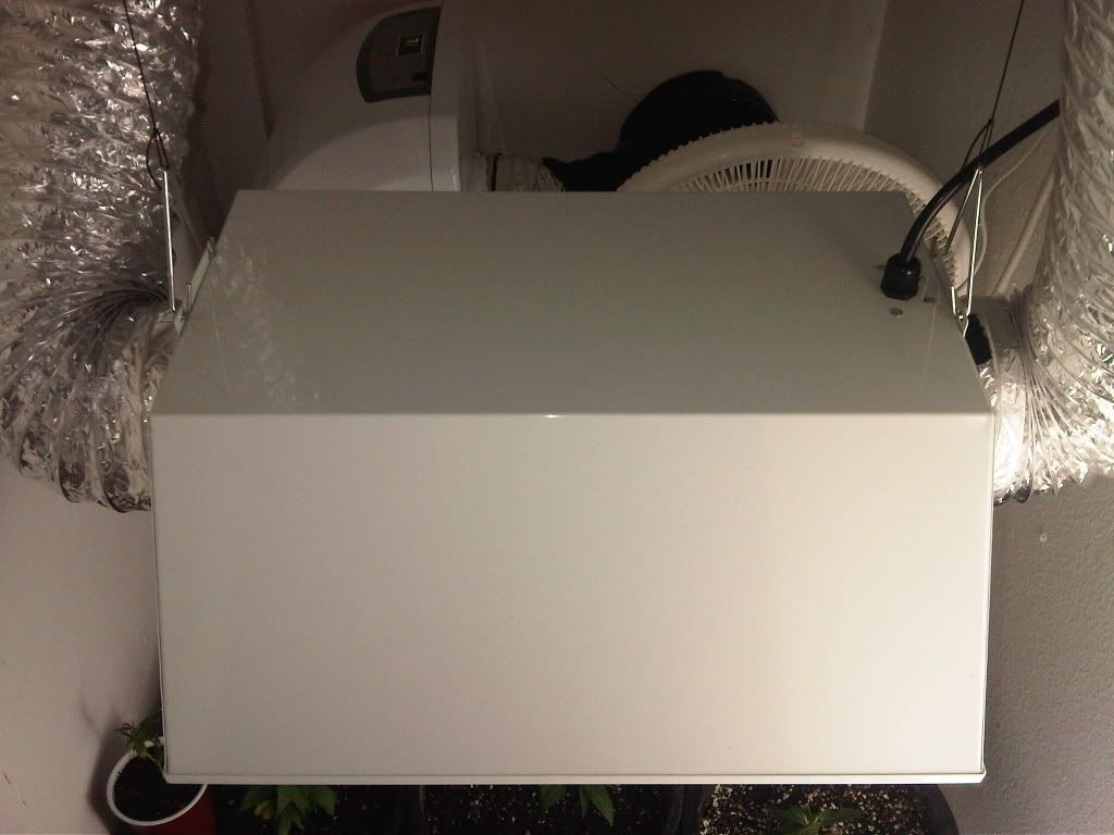 IMG00038-20110612-12241.jpg