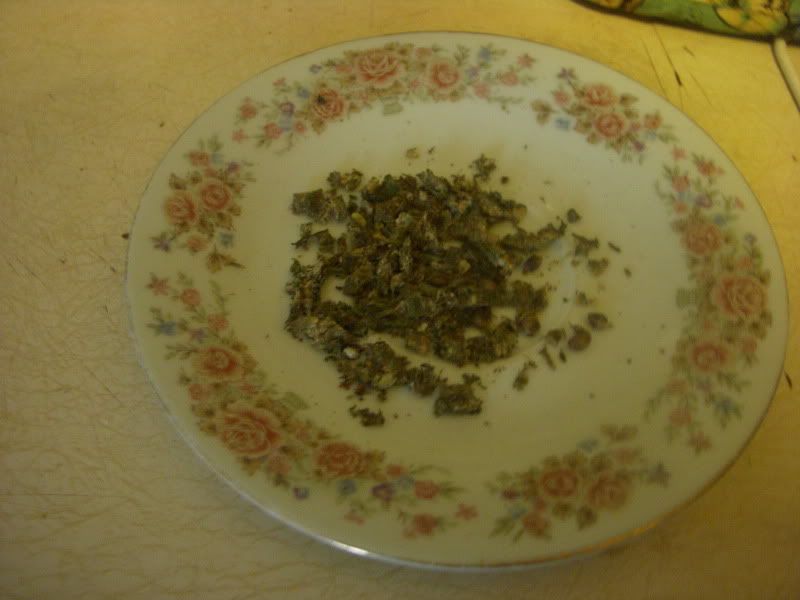 DSCN0552.jpg