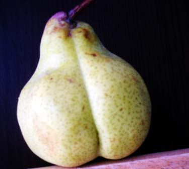 pear007.jpg