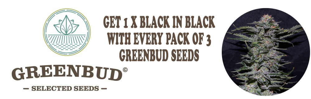 Greenbud_Seeds_Black_in_Black_Promo_logo.png